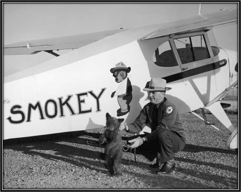 Smokey Bear is Part of Aviation History!